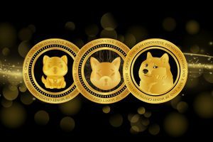 Meme Coin – Khám Phá Cơn Sốt Mới Trong Thế Giới Crypto